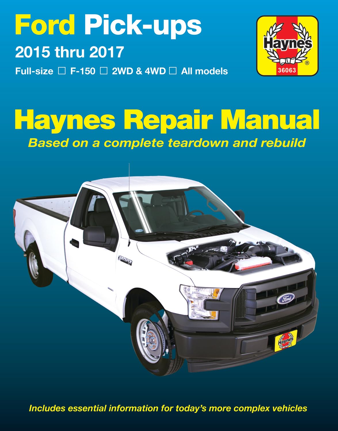 HAYNES 36063