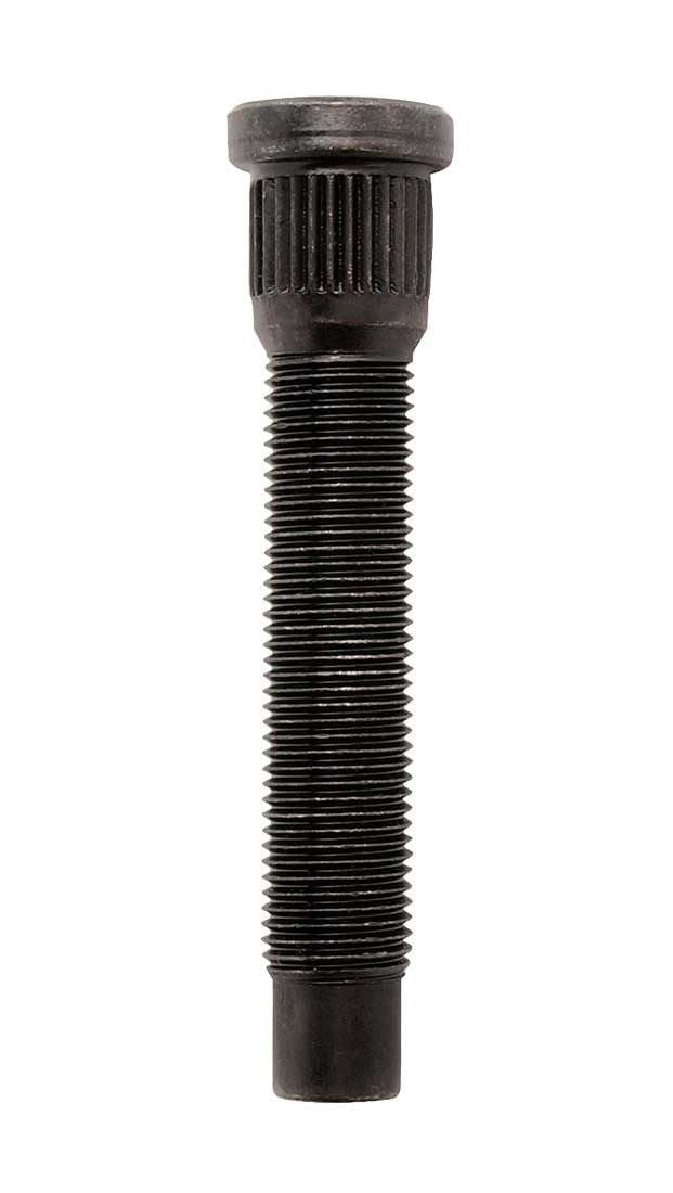 MOROSO 46185