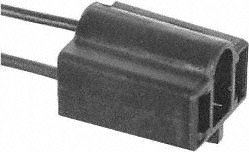 BWDPT31