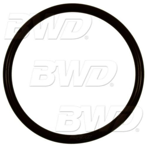 Joint torique de pompe à carburant BWD RGD22