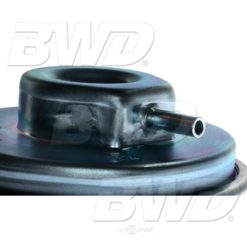 BWD EGR1134 Vanne de recirculation des gaz d'échappement (EGR)