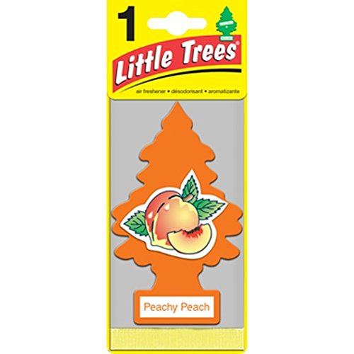 Car-Freshner 10319