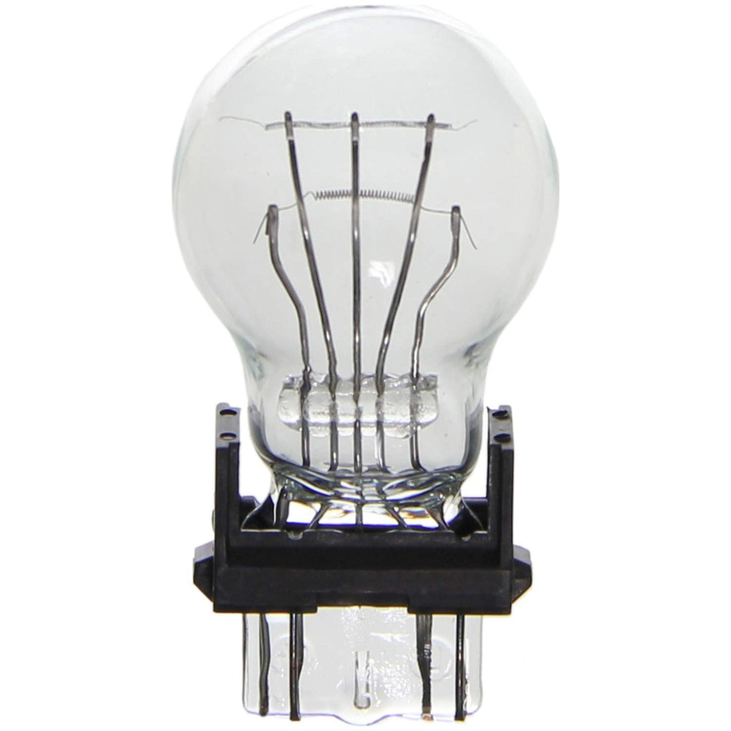Bombilla de luz trasera Wagner BP3157
