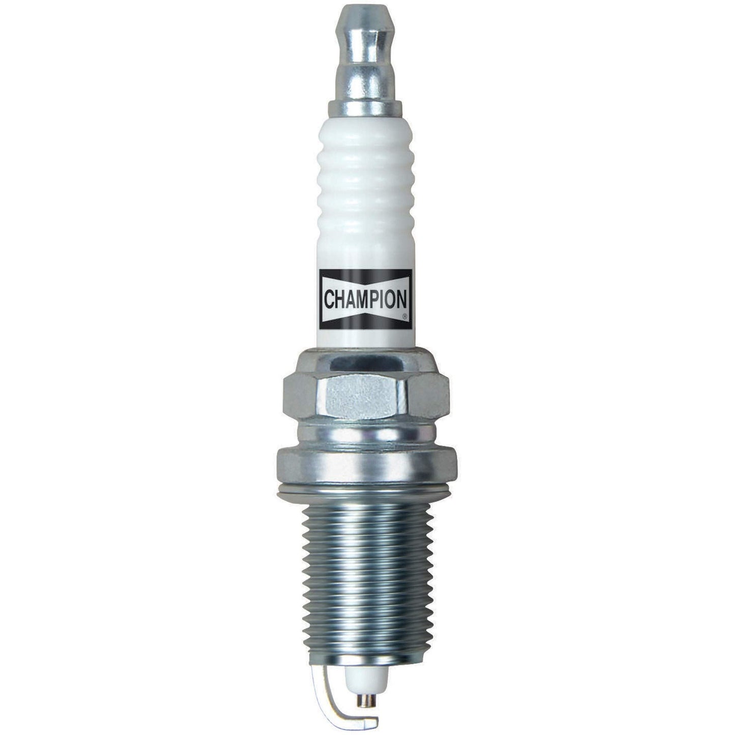 Champion 3318 (Pack of 4)