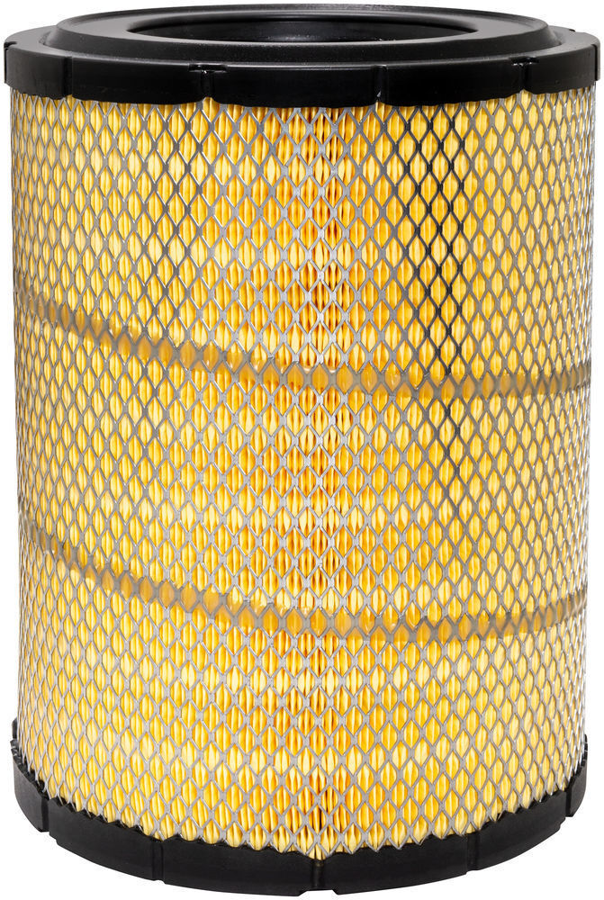 Baldwin RS30222XP Air Filter