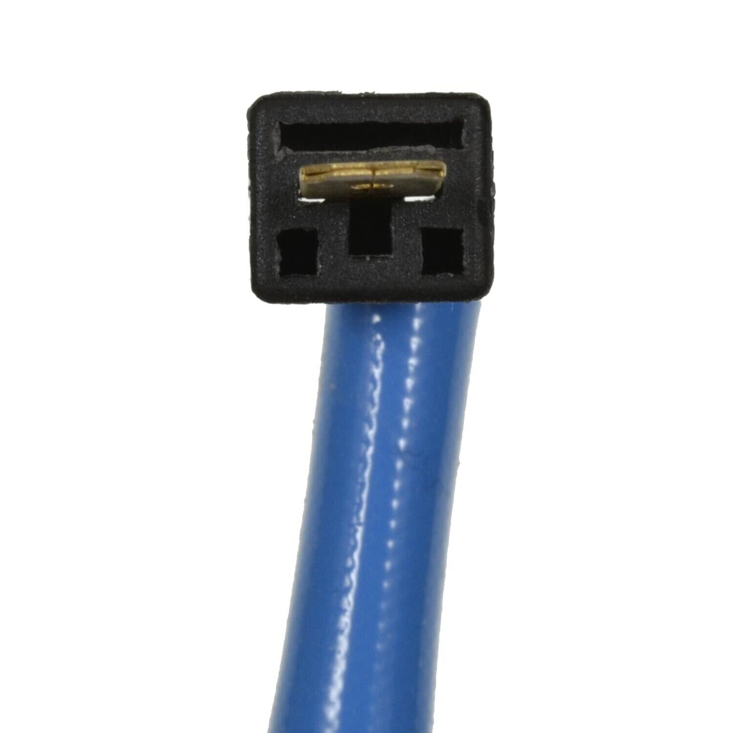 BWD WHL110 Headlight Wiring Harness