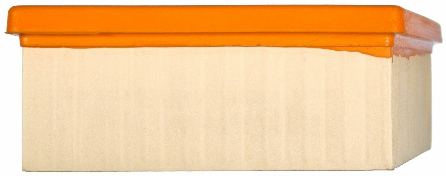 Mahle LX 934 Air Filter