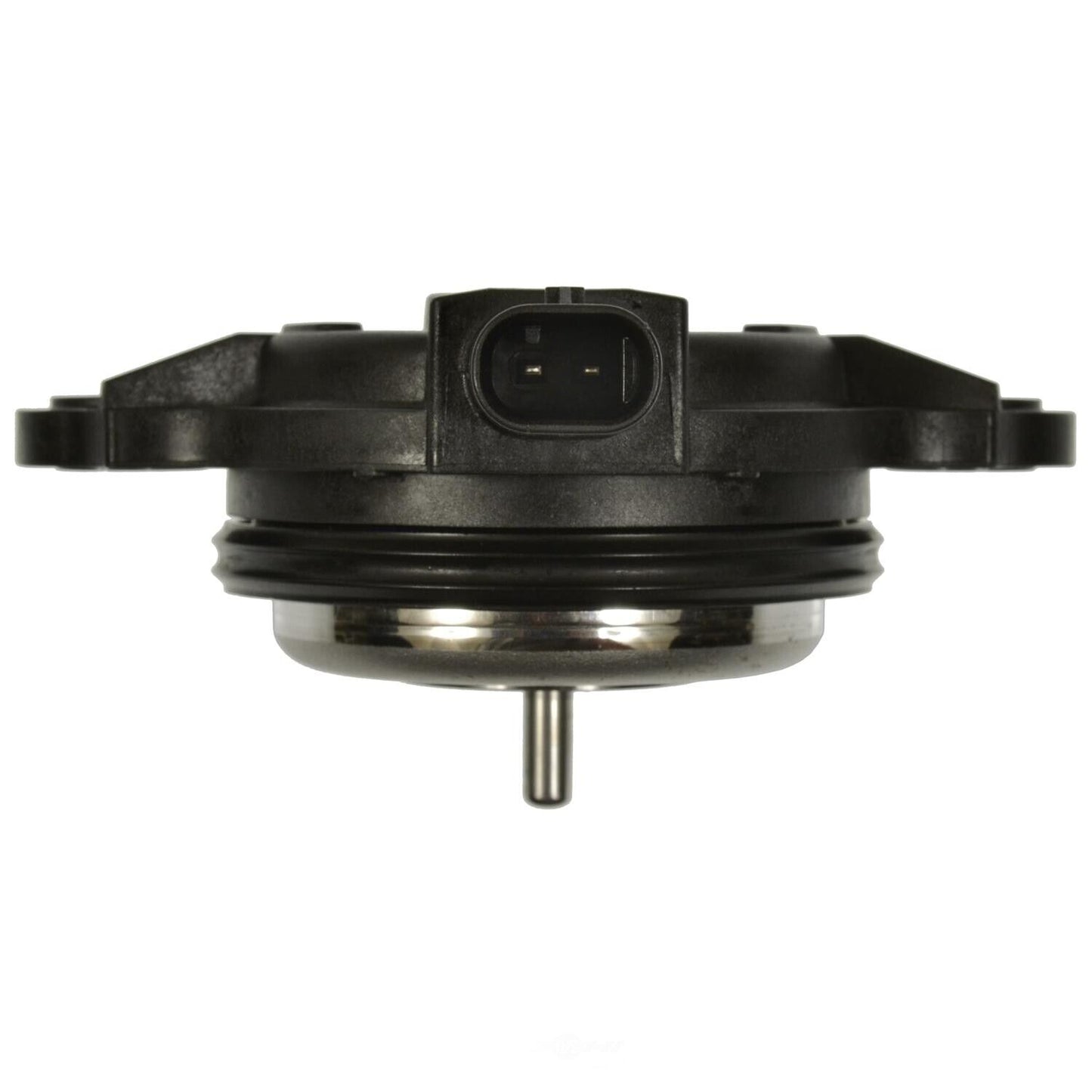 BWD VV1253 Engine Variable Valve Timing (VVT) Adjuster Magnet