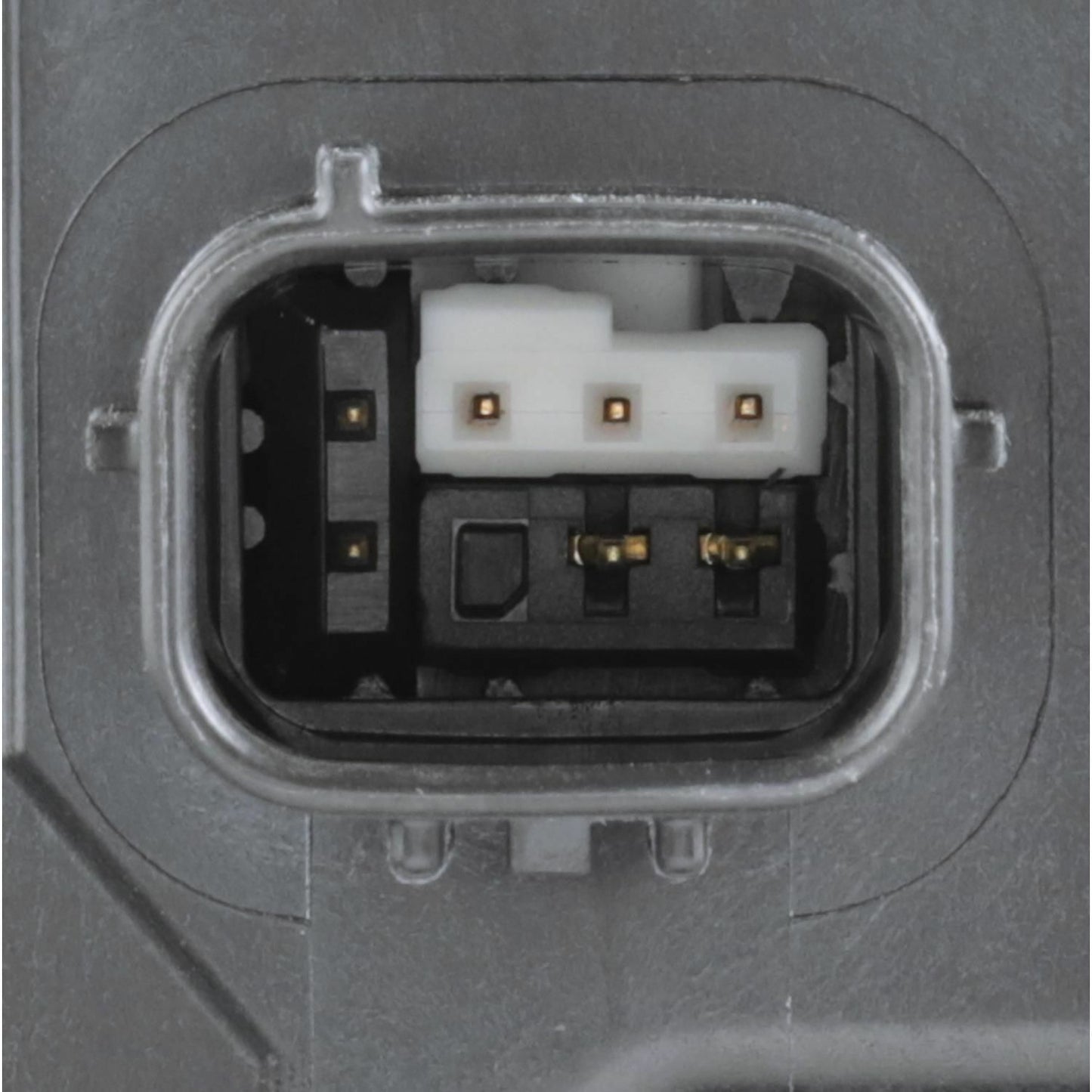 BWD CP1864 Vapor Canister