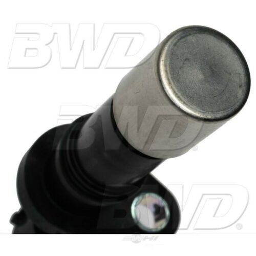 BWD CSS1819