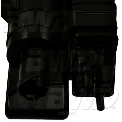 Bote de vapor BWD CP1599