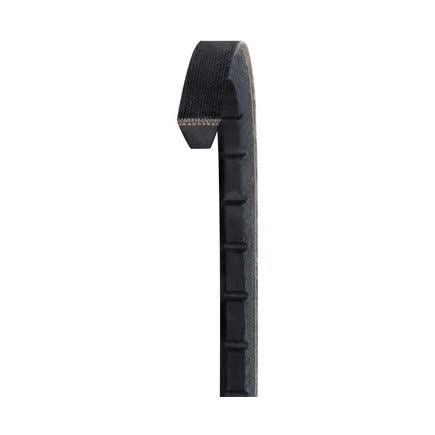 Dayco 5VX1800