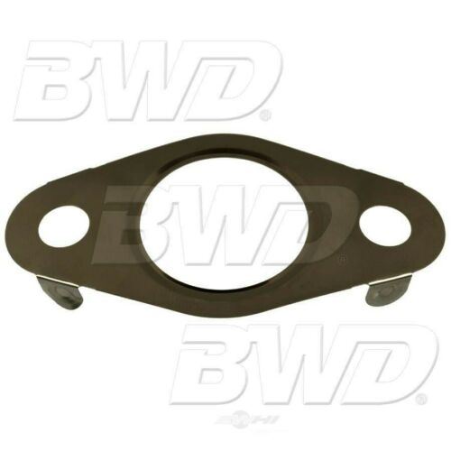 BWD EVG256