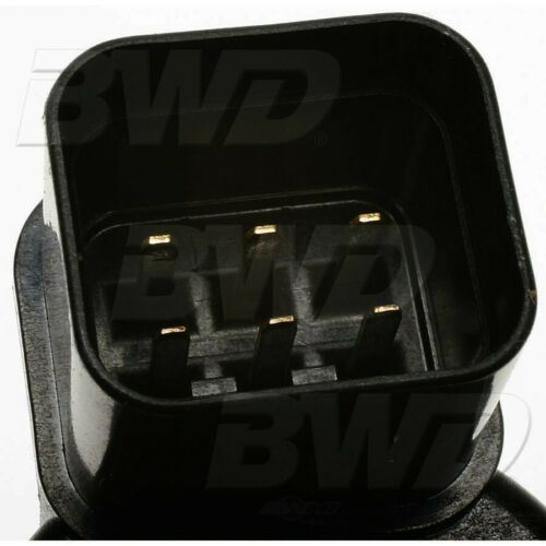 BWD 21987