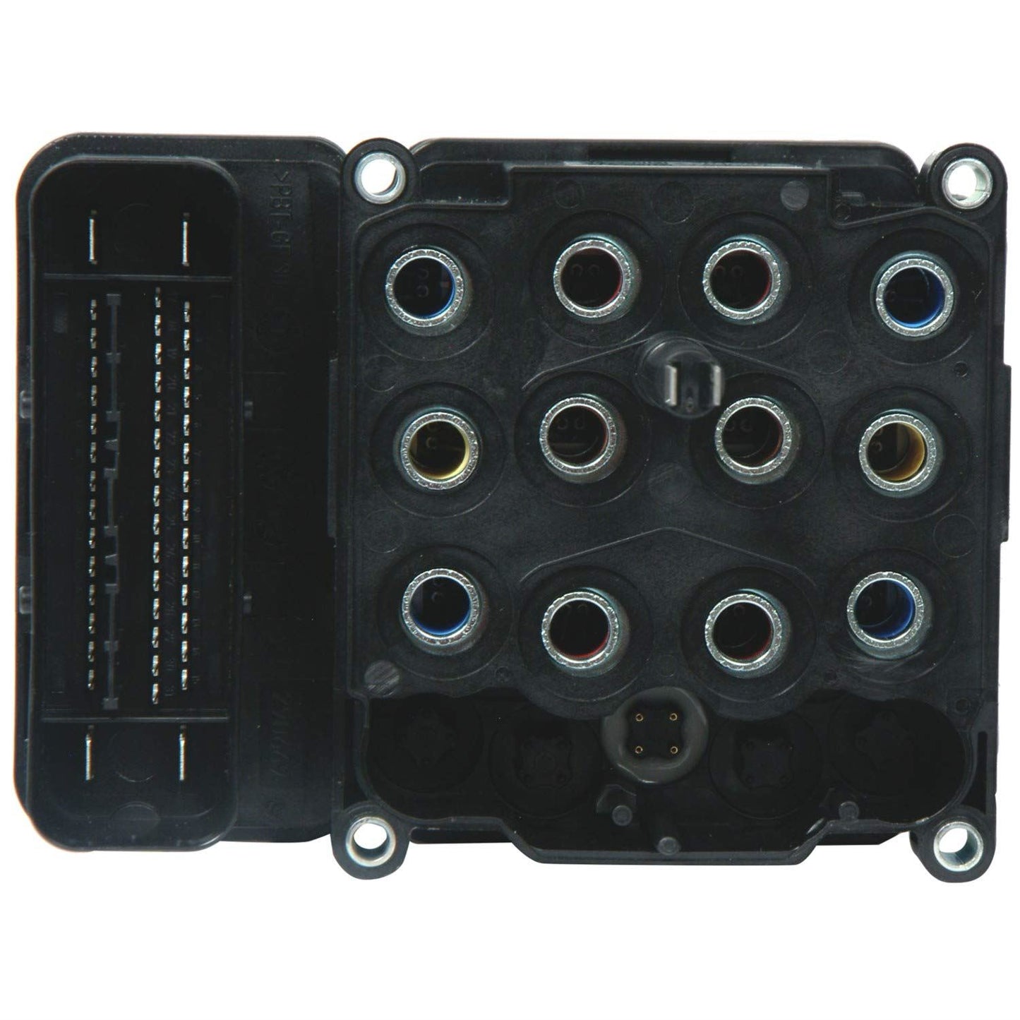 CARDÓN 1217204
