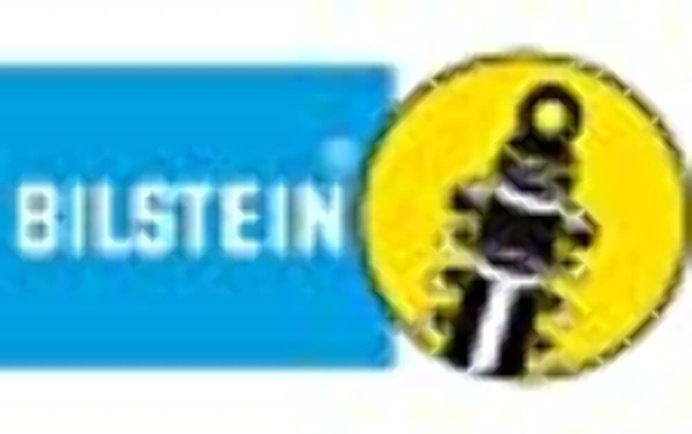 BILSTEIN 24-285650 Amortisseur de suspension