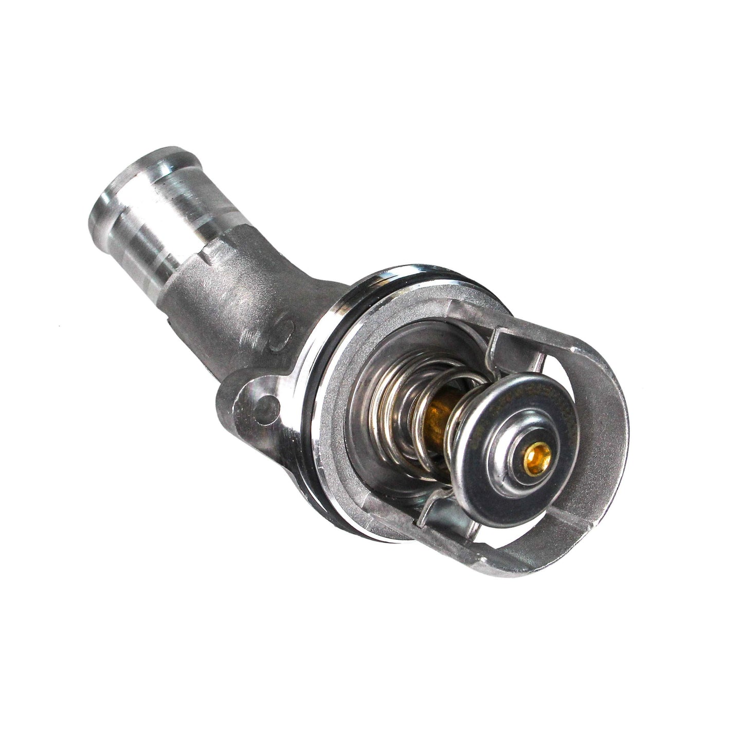 REIN CTA0013
