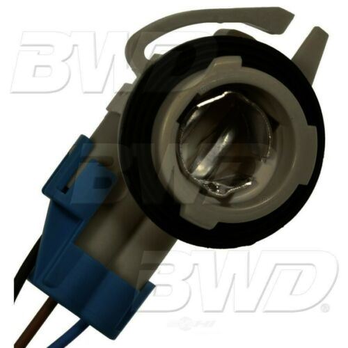 BWD PT2562 Back Up Light Connector