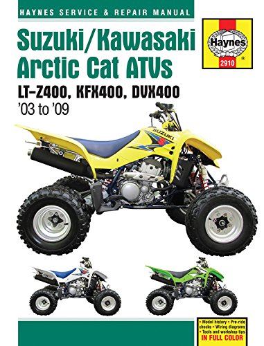 HAYNES 2910