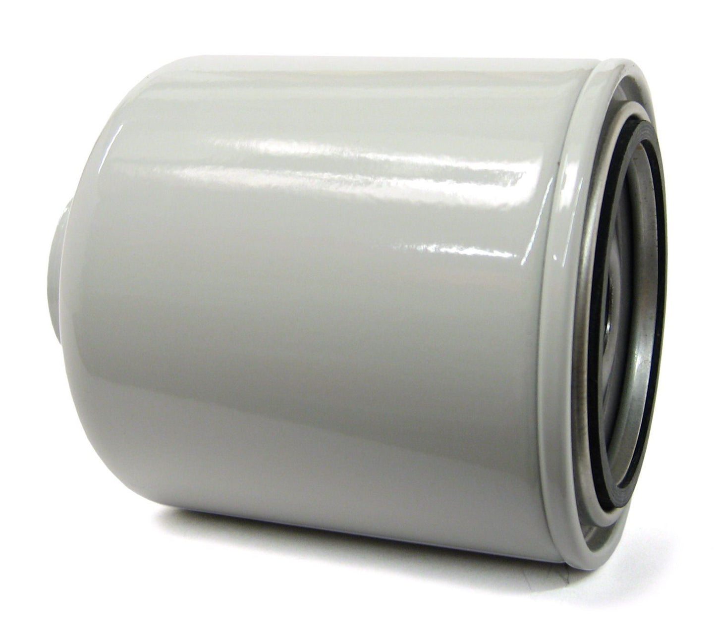 Filtre à carburant professionnel TP1289 d'ACDelco