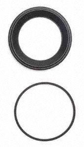 Raybestos WK1314 Disc Brake Caliper Seal Kit