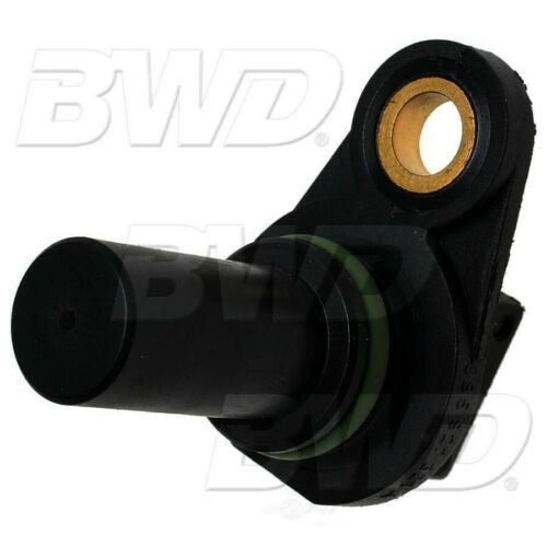 BWDS8246