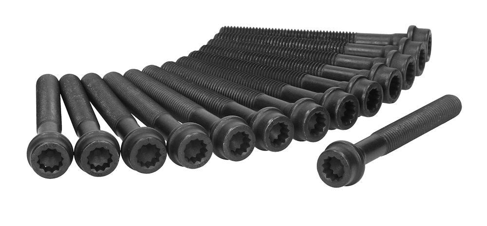 CRP 81006300 Engine Cylinder Head Bolt Set