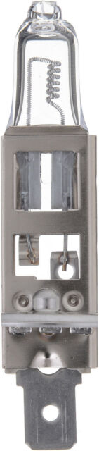 Philips H1C1-24V