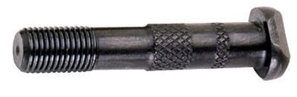 ARP 1556001
