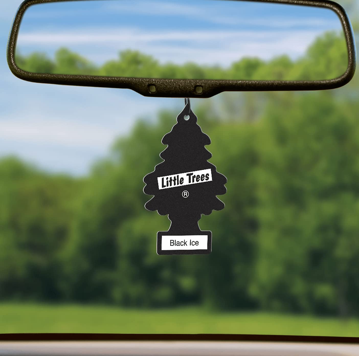 CAR-FRESHNER U6P60155