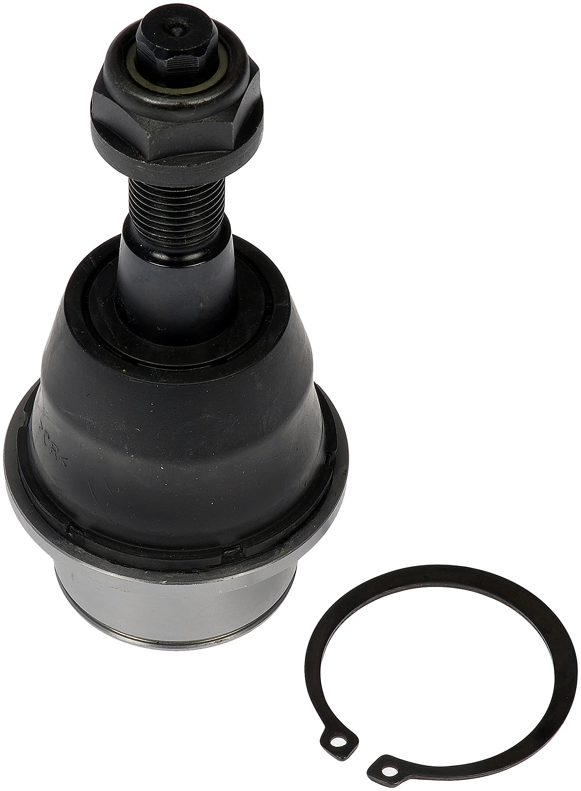 DORMAN BJ82495XL