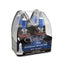 Hella H71071032 Headlight Bulb