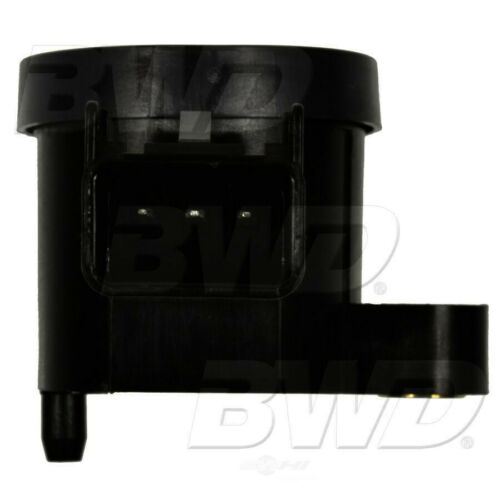 BWD S42028