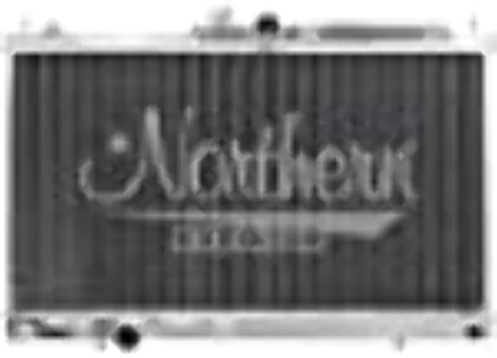NORTHERN RADIATOR 205225