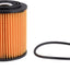 Fram CH9584 Engine Oil Filter