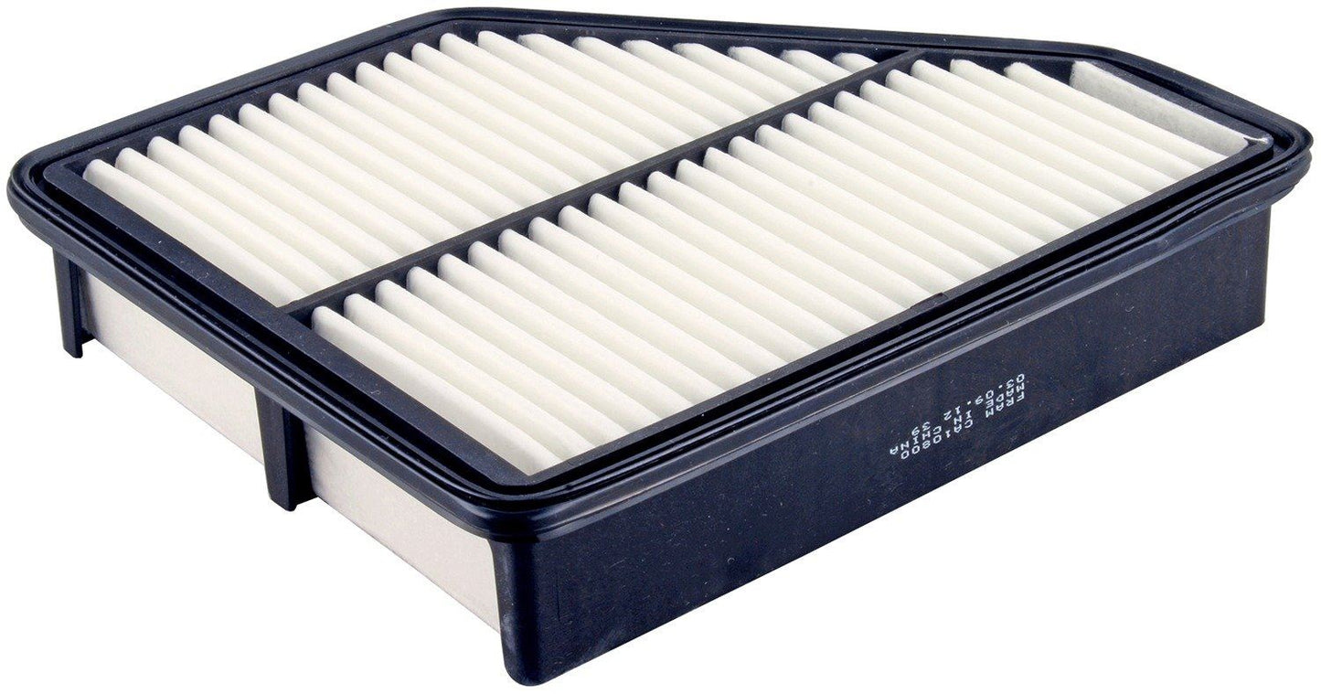 Fram CA10800 Air Filter