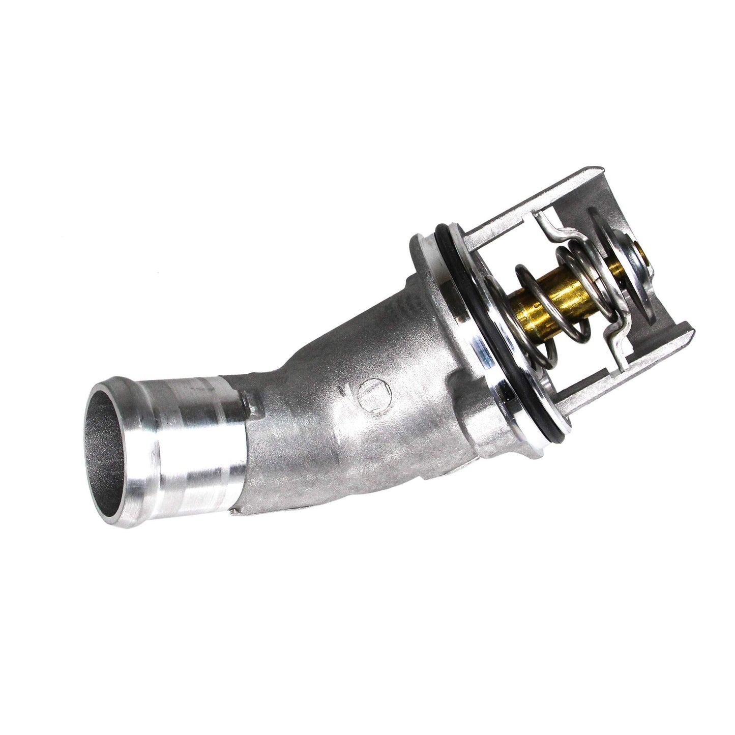 REIN CTA0013