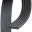 Gates K060465 Cinturón serpentino