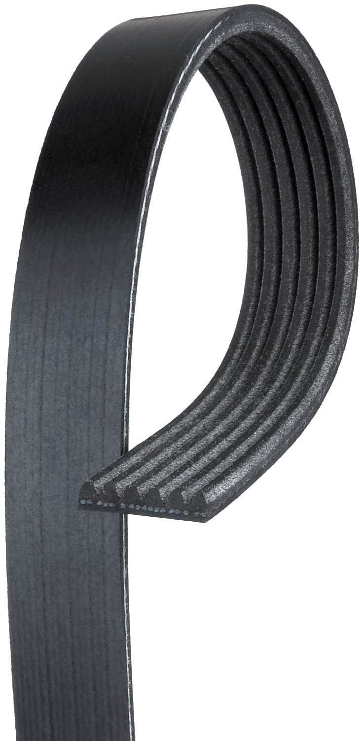 Gates K060465 Cinturón serpentino
