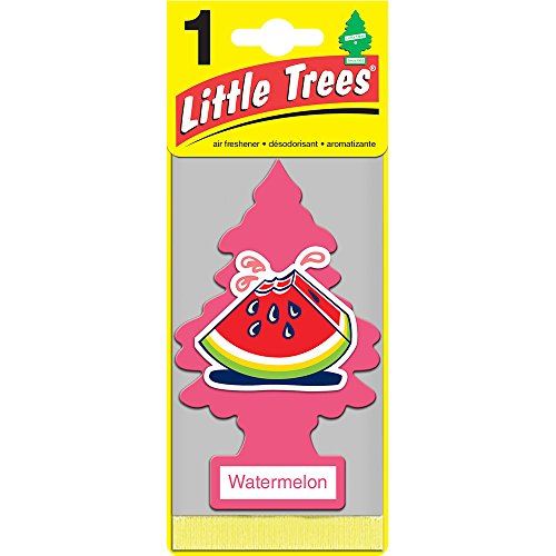 CAR-FRESHNER 10320