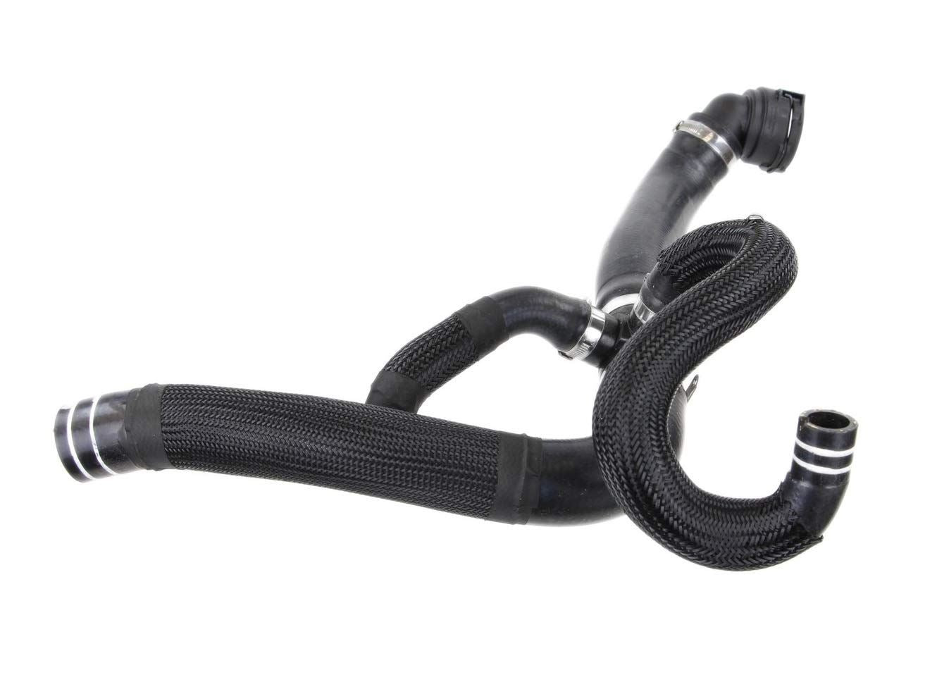 REIN CHR0674