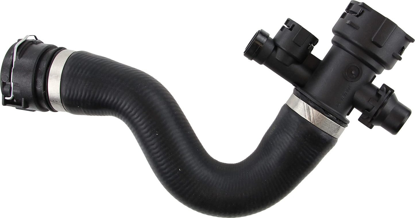 REIN CHR0186