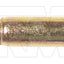 Dorman 981-250D