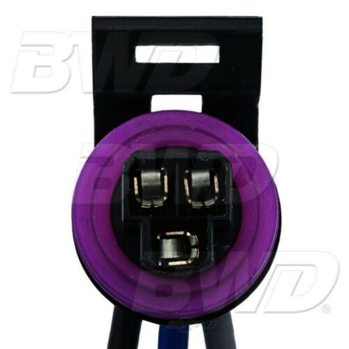 BWD PT2097K Fuel Pressure Sensor Connector