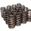 Comp Cams 26981-16 Engine Valve Spring