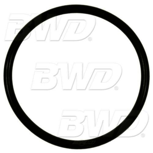 BWD RGD51 Fuel Pump O-Ring