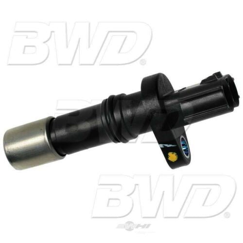 BWD CSS1819