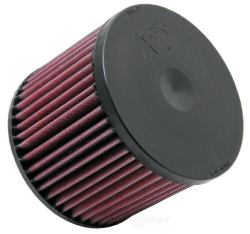 K&N E1996