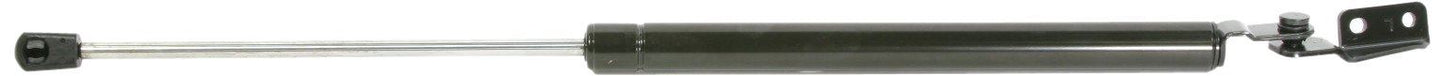 STRONGARM LIFT SUPPORTS C6219L