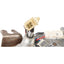 CARDONE 85-4037 Moteur d'essuie-glace